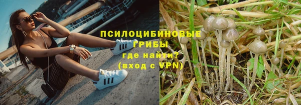 синтетический гашиш Протвино