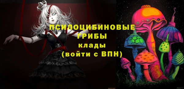 СК Абдулино