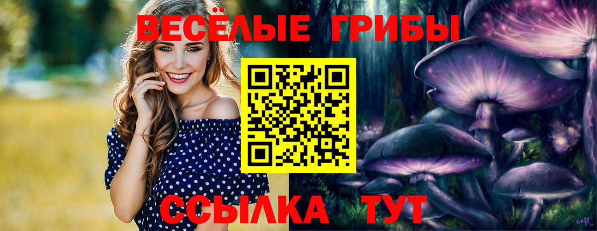 Псилоцибиновые грибы GOLDEN TEACHER Абинск